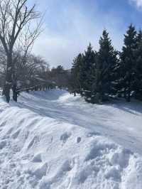【北海道旅行】浪漫冬季中島公園，適合情侶和家庭放鬆享受美好冬季