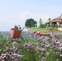 The Peak Flower Land.