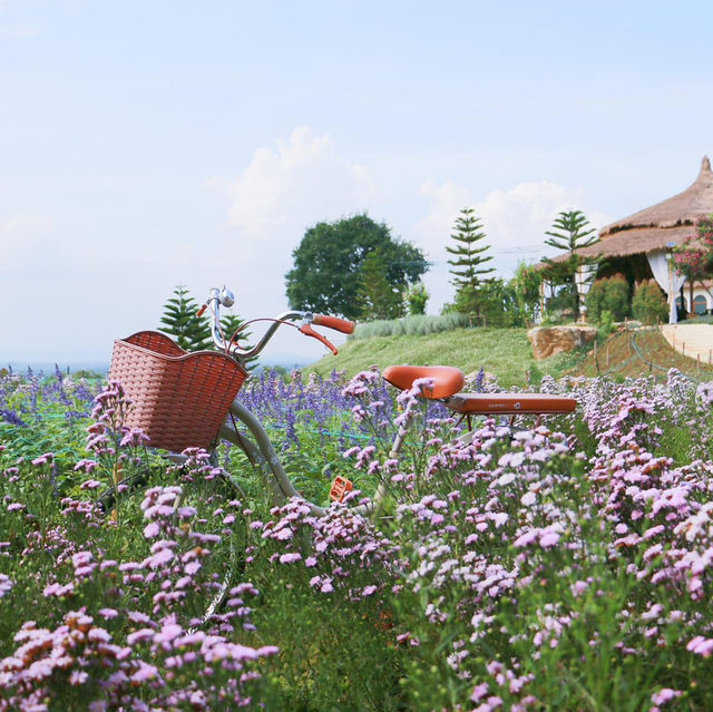The Peak Flower Land.