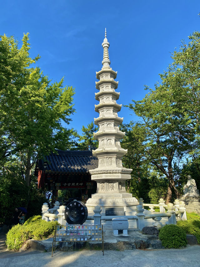 부산여행의 필수코스 기장 가볼만한 곳 해동용궁사💚