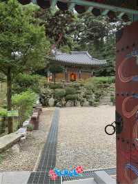 Visiting hidden in a forest Buddhist temple 