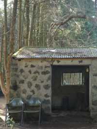제주도 사진 명소 ‘비밀의 숲’