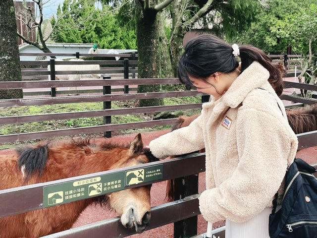 日本🇯🇵 九州自然動物園｜居然可以親自餵獅子🦁 超近距離接觸各種可愛的動物！