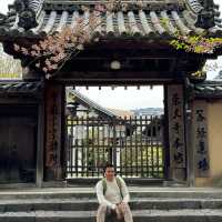 Deer Encounters and Temple Wonders: My Nara Park Adventure!