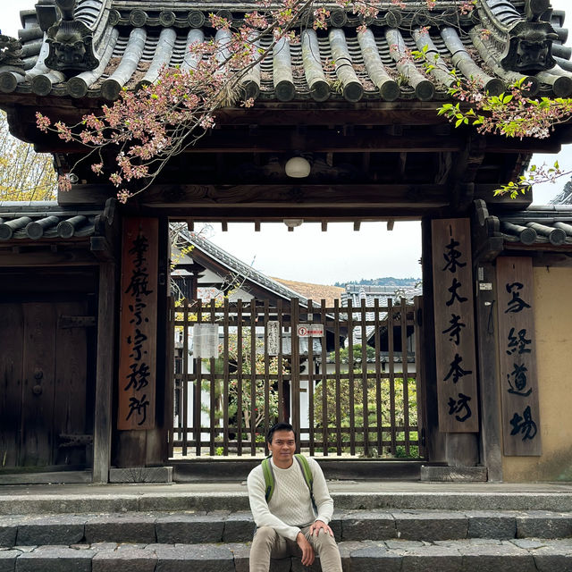 Deer Encounters and Temple Wonders: My Nara Park Adventure!