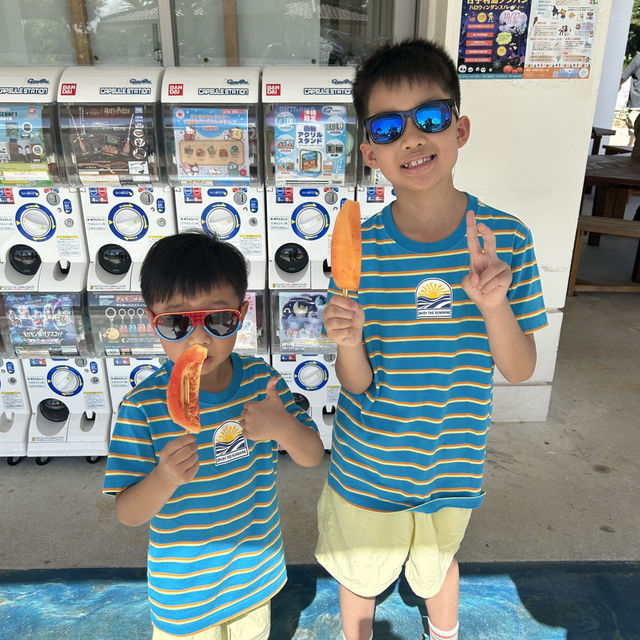 【 沖繩北部一日遊 | 景點豐富吸引全包門券 】