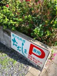 【山口グルメ】宇部・瀬戸内料理おおしま