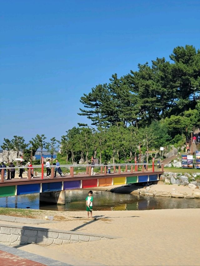 동해바다 촛대바위뷰가 멋진 추암해변🩵