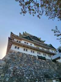 แจกแพลนเที่ยว Nagoya Japan (Alpine-Takayama)
