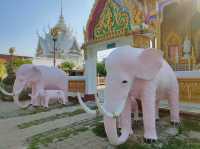 Hidden Gem in Pattaya: Wat Nong Yai