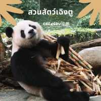 สวนสัตว์เฉิงตู