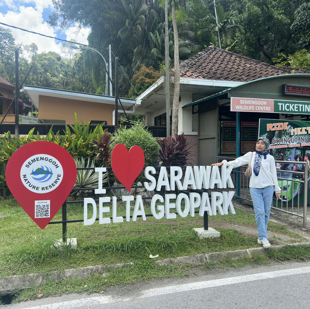 Spectacular Orang Utan 😍