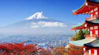 Japanese Cuisine, Landscape, and Culture: A Harmonious Blend