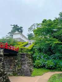 【神奈川】お城と紫陽花の風景