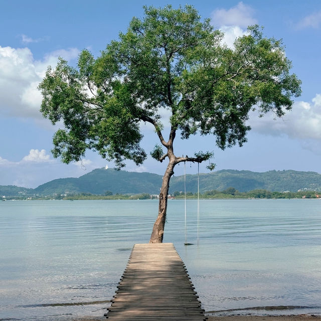 The Mangrove by Blu Monkey 🐵