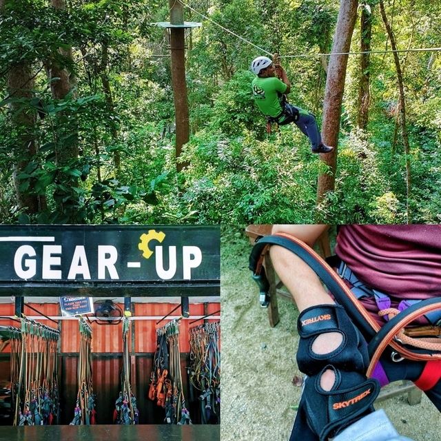 An adventurous & funfull day @ SKYTREX Adventure Melaka! 🌿🐒🍃🦋🌳
