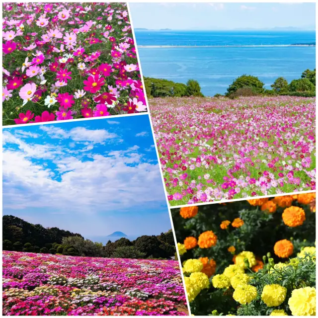 Nokonoshima Island Park, breathtaking scenery
