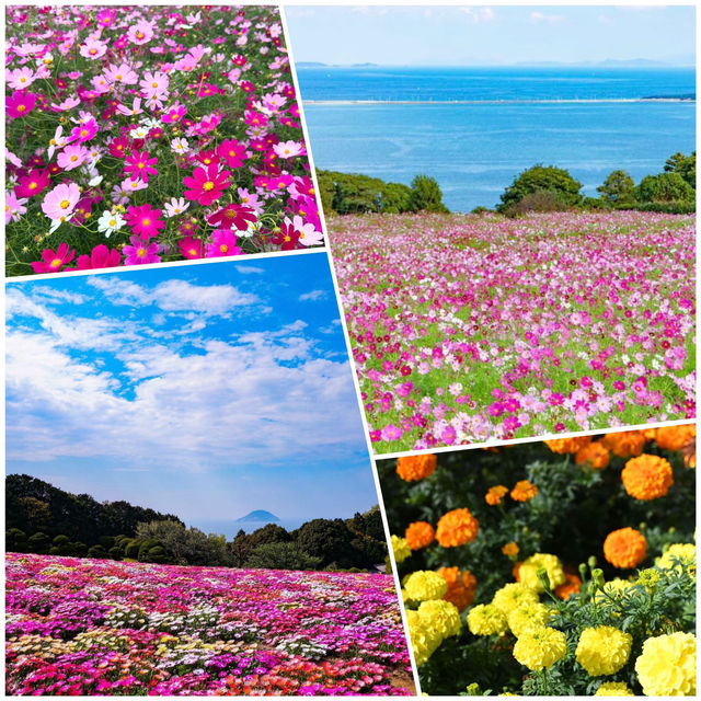 能古島海島公園，絕美風景令人讚嘆