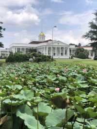 Magical Bogor Botanical Gardens