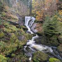 Black Forest and Triberg Waterfalls, Baden-Württemberg