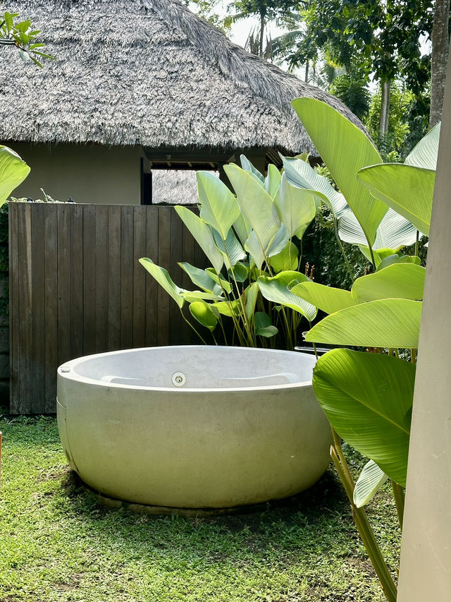 푸릇푸릇한 정글뷰가 아름다운 마야 우붓 리조트🌴