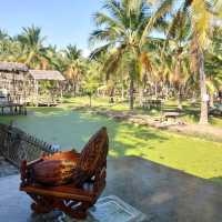 Coconut market - กาดบะป๊าว เชียงใหม่