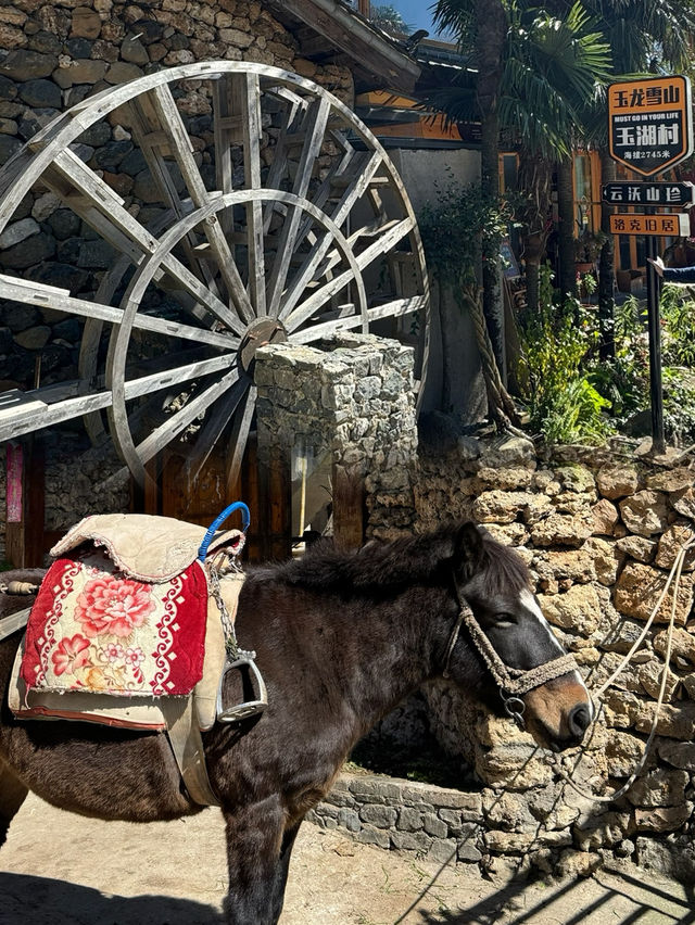Yuhu Village: A Tranquil Retreat Under Jade Dragon Snow Mountain