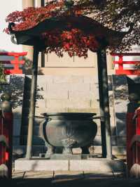 Trip to Sendai, Japan 🇯🇵 