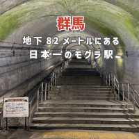 【群馬】地下82メートルにある日本一のモグラ駅🚉