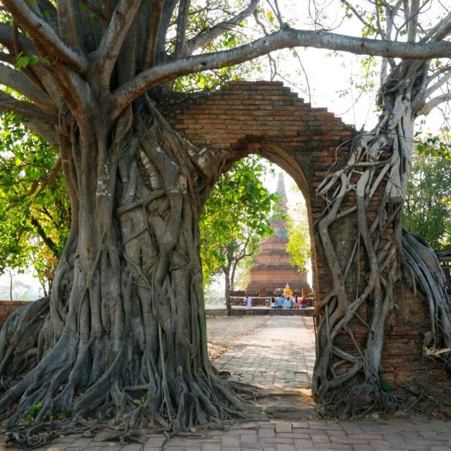 วัดพระงาม (ประตูแห่งกาลเวล) เที่ยววัดอยุธยา