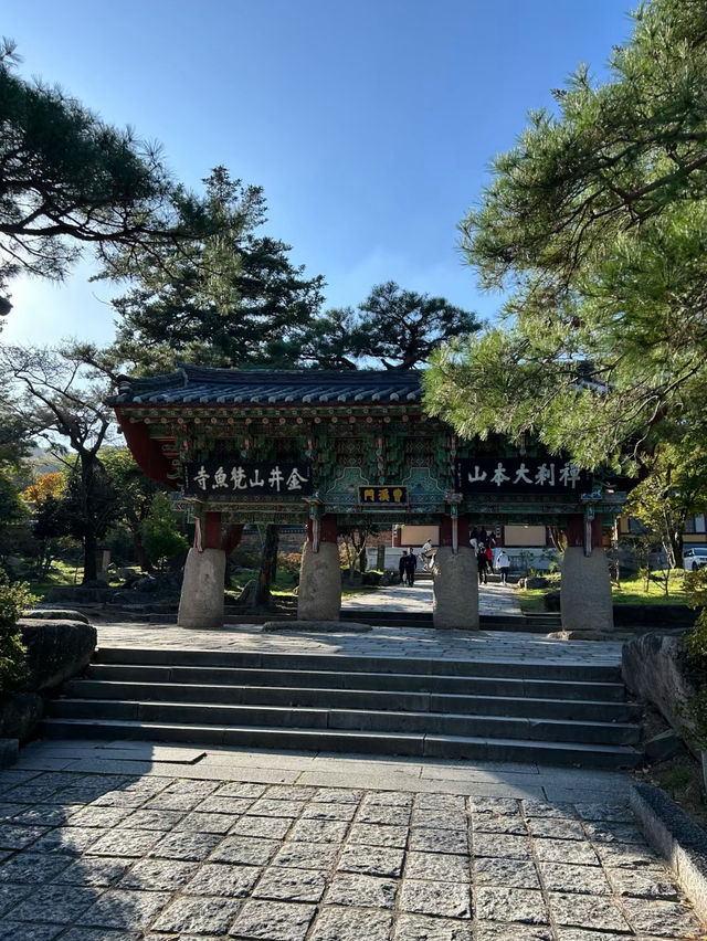  Beomeosa Temple: A Tranquil Escape in Busan