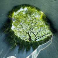 History and Serenity: Exploring Fort Canning Park and Its Hidden Gems 