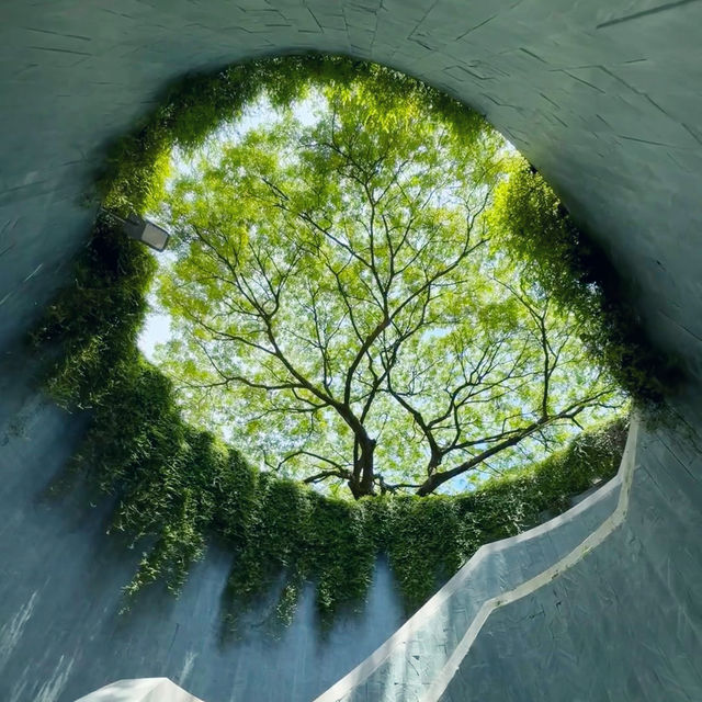 History and Serenity: Exploring Fort Canning Park and Its Hidden Gems 