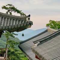 Discovering the Serenity of Beomeosa Temple