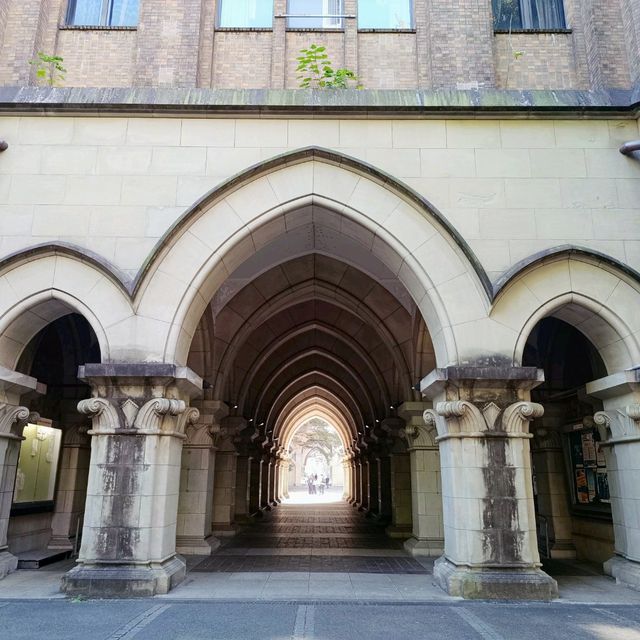 東京賞銀杏：東京大學正門銀杏並木