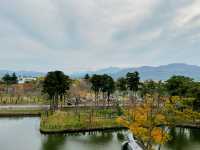Unveiling the History of Takada Castle