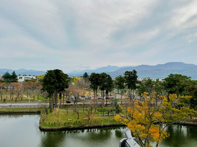 Unveiling the History of Takada Castle