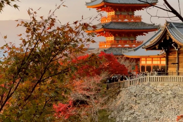 掛け軸 風景 ［京都秋の風景図］双幅 紙本 木箱無し！ 掛軸