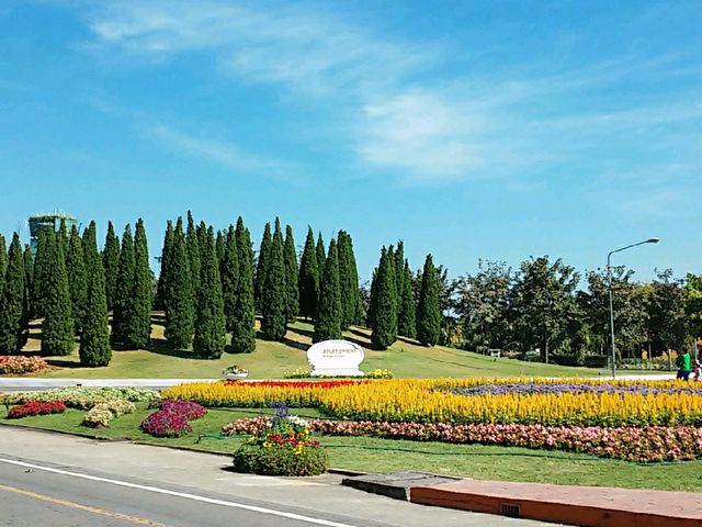 สัมผัสความงาม@อุทยานหลวงราชพฤกษ์