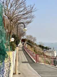 Busan เมืองแห่งความฝัน🍁