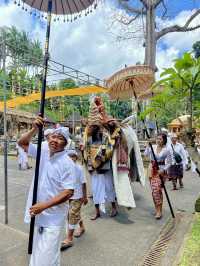 My Supir in Bali is Better than Your Supir