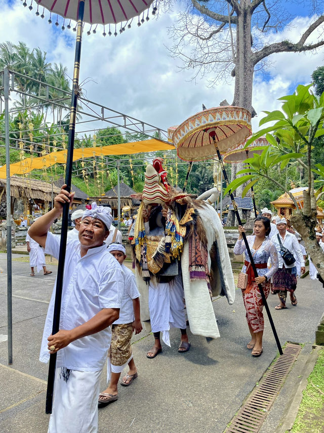 My Supir in Bali is Better than Your Supir