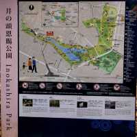 井之頭恩賜公園-不同種類的楓樹交織成美麗的畫卷