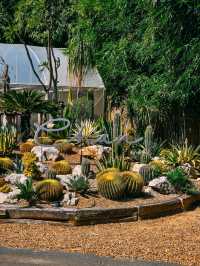 CHAN nature cafe' 