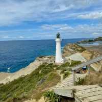 Wild Beauty Unveiled: A Captivating Visit to Castle Point