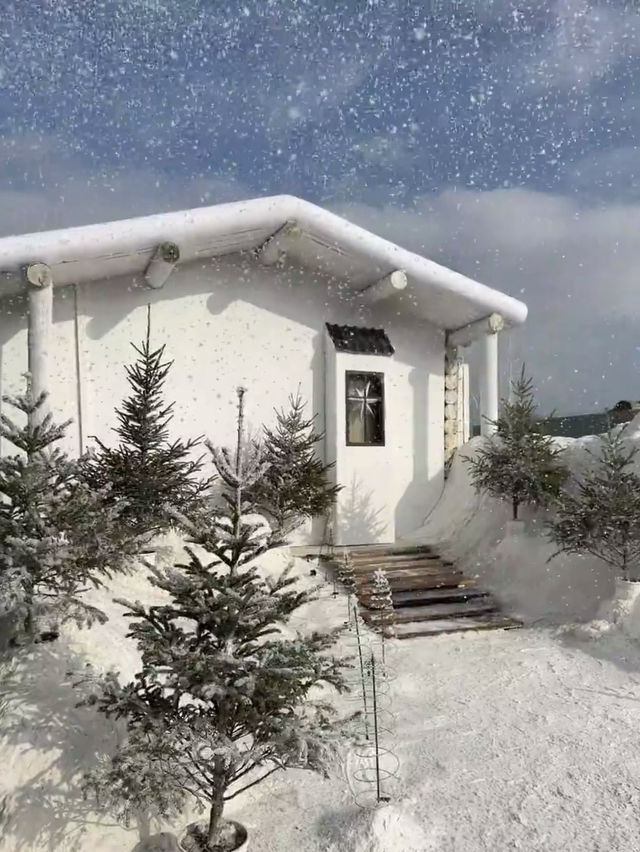聖誕雪地小鎮🤍❄️