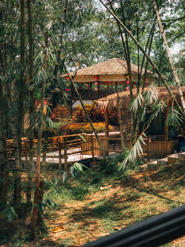 Putuo Village Johor: A Tranquil Escape into Nature and Culture