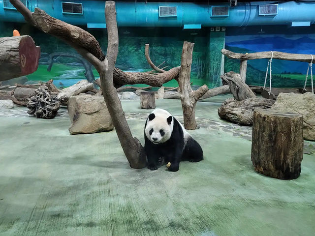  台北市立動物園：台灣最大且最具教育意義的生態樂園