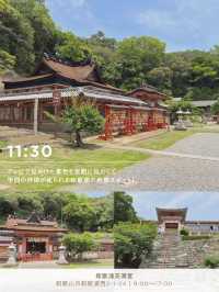 【和歌山/まとめ】和歌山市絶景とグルメの日帰り旅✨