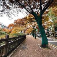 Anyang Art Park สวนศิลปะกลางหุบเขา